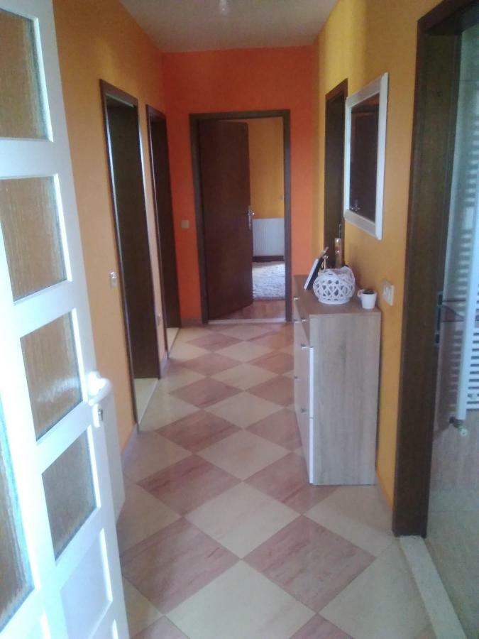 Lanelu Apartman ロゴズニッツァ エクステリア 写真